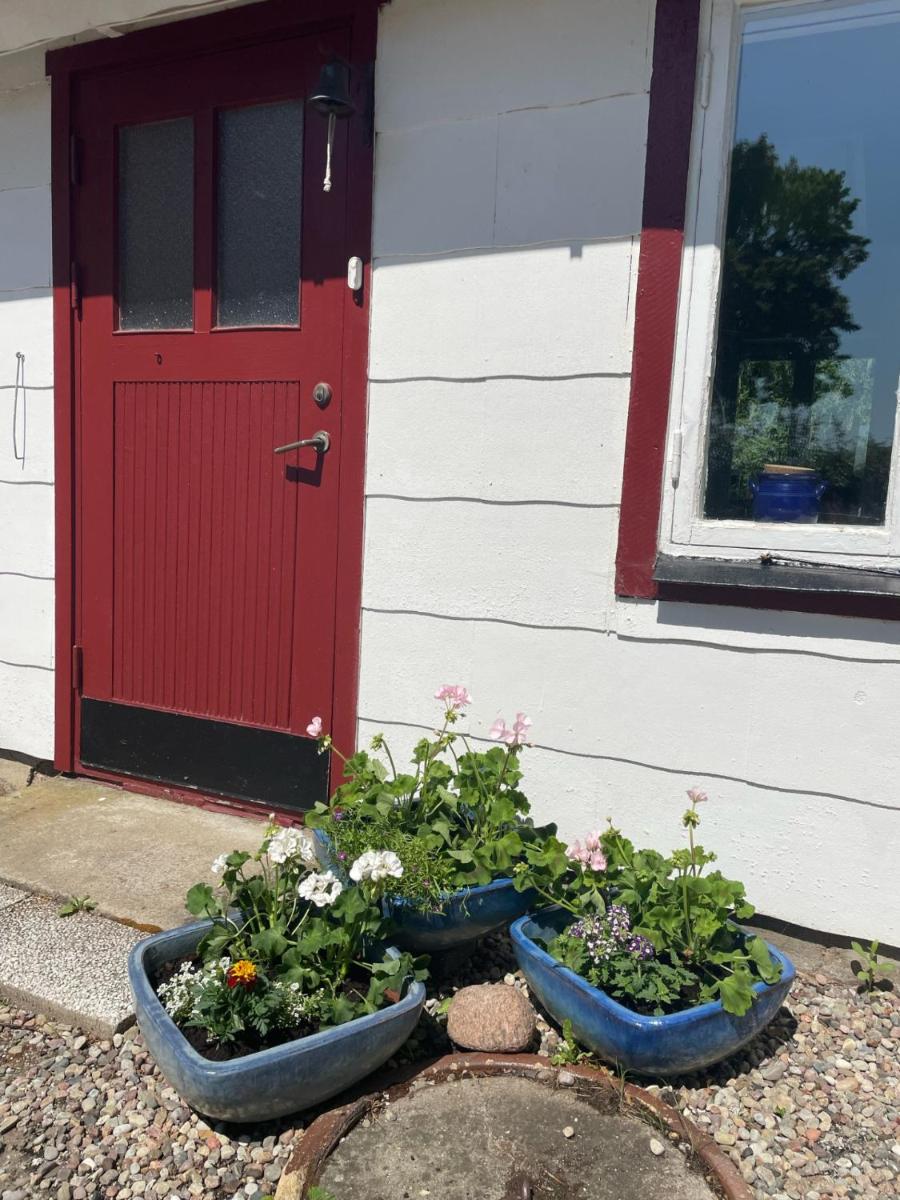 Trennegården B&B - Housity