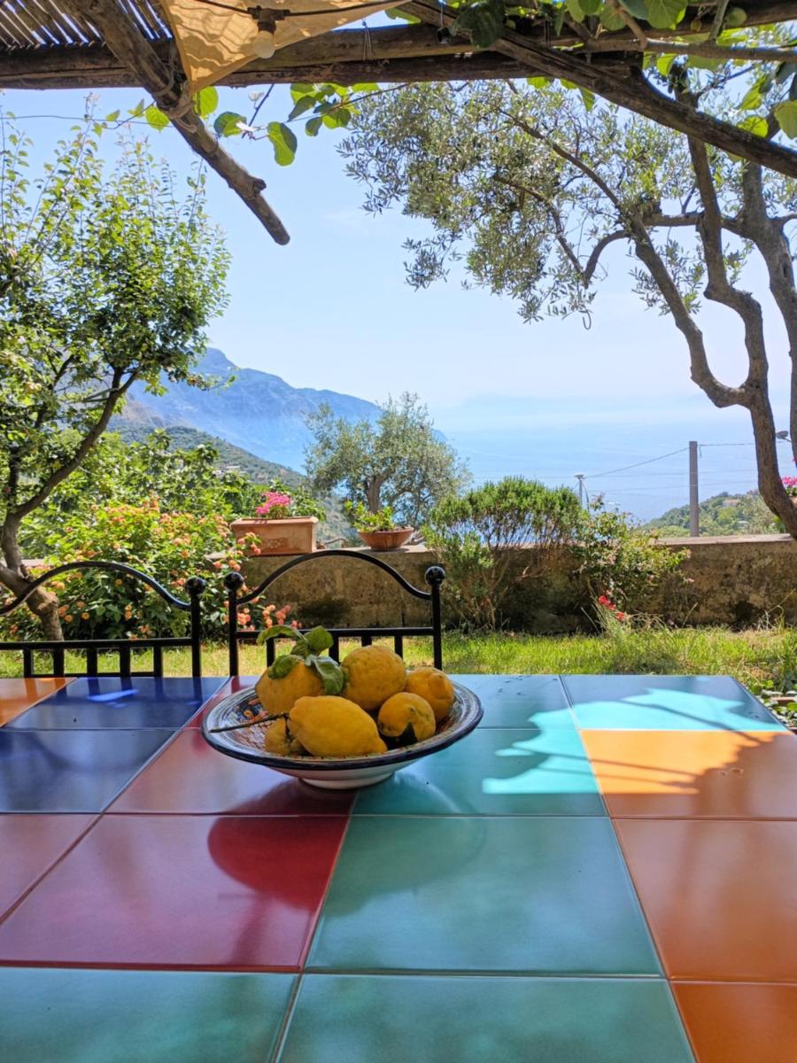 Sorrento, Positano, Amalfi Coast, Capri, garden, villa Carcara - Housity