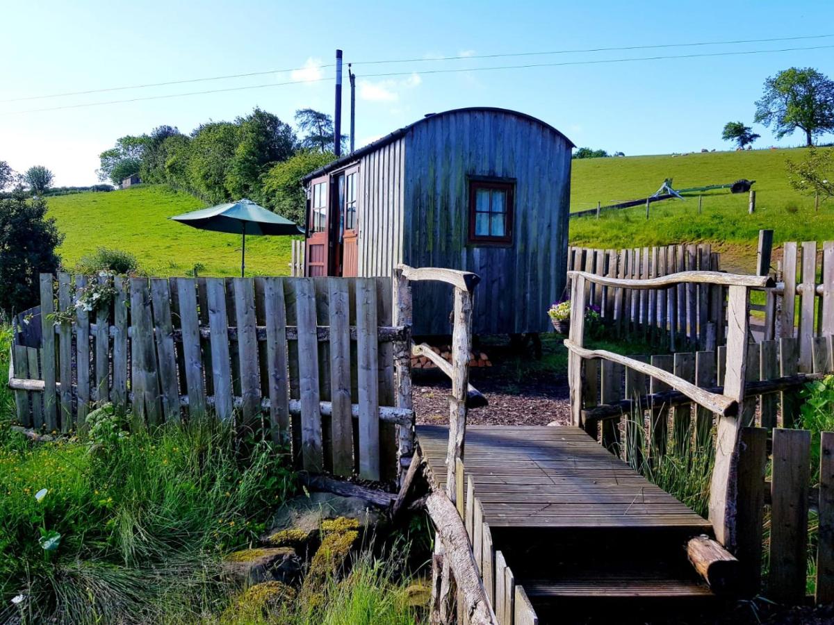 Eco Accommodation Cornflower - Housity