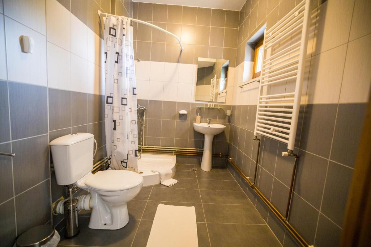 Pensiunea Codruta - Housity