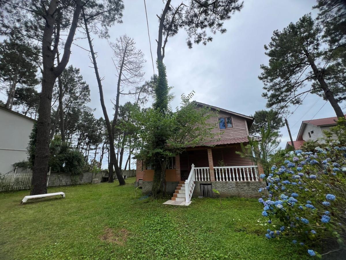 Shekvetili Beach House - Housity