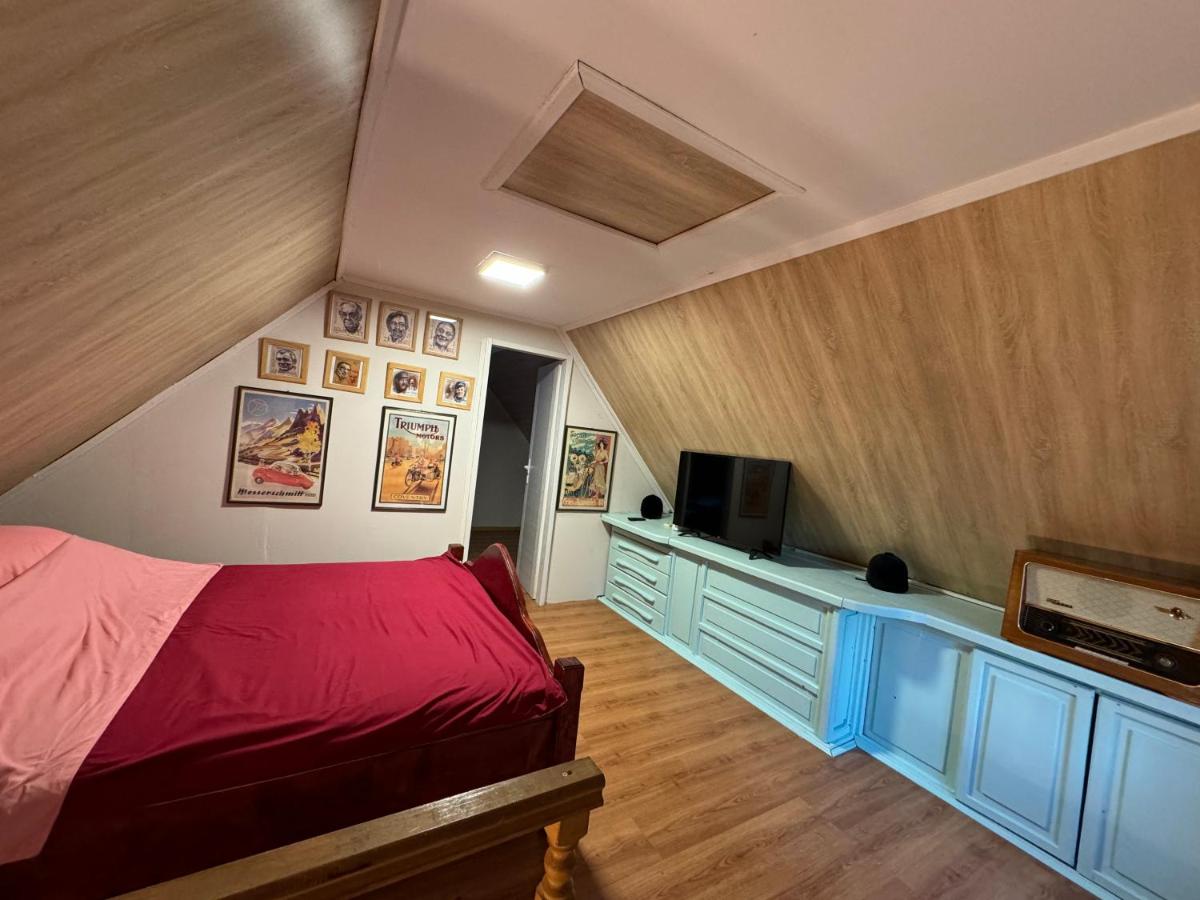 Dunavska lepotica 1 - Housity