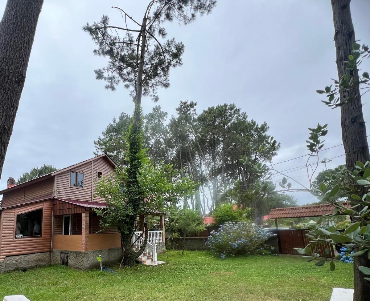 Shekvetili Beach House - Housity