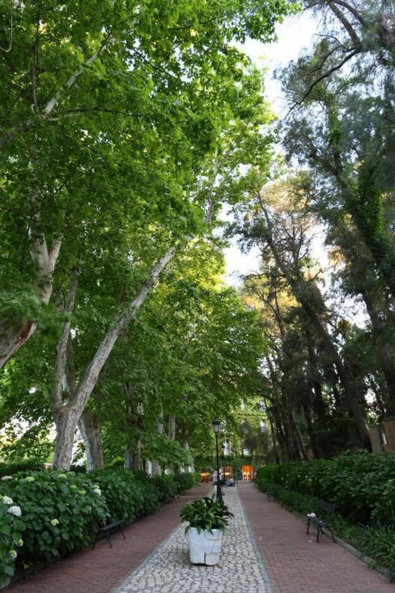 Jardín al aire libre en Gran Hotel Aqualange - Balneario de Alange