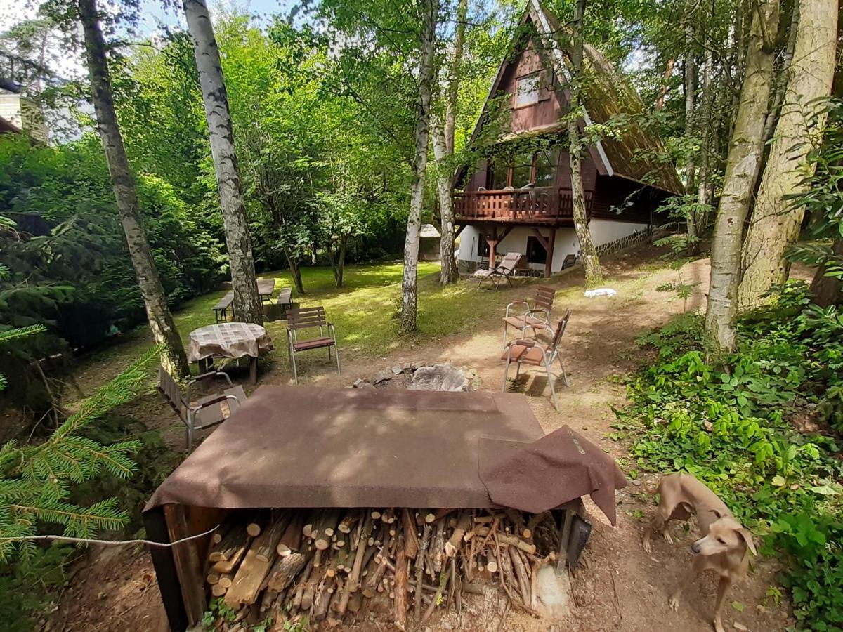 Holiday home Zajícovi - Housity