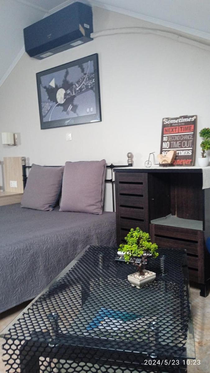 Roses Apartments - Housity