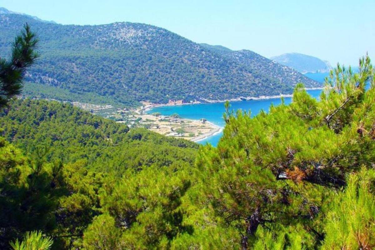 Laurel LK Houses in Kritinia Rhodes - Housity