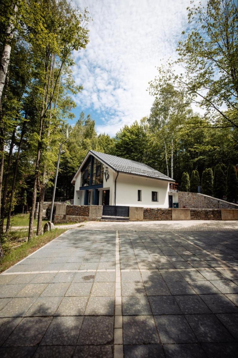 Vila Blanc Valiug Crivaia - Housity