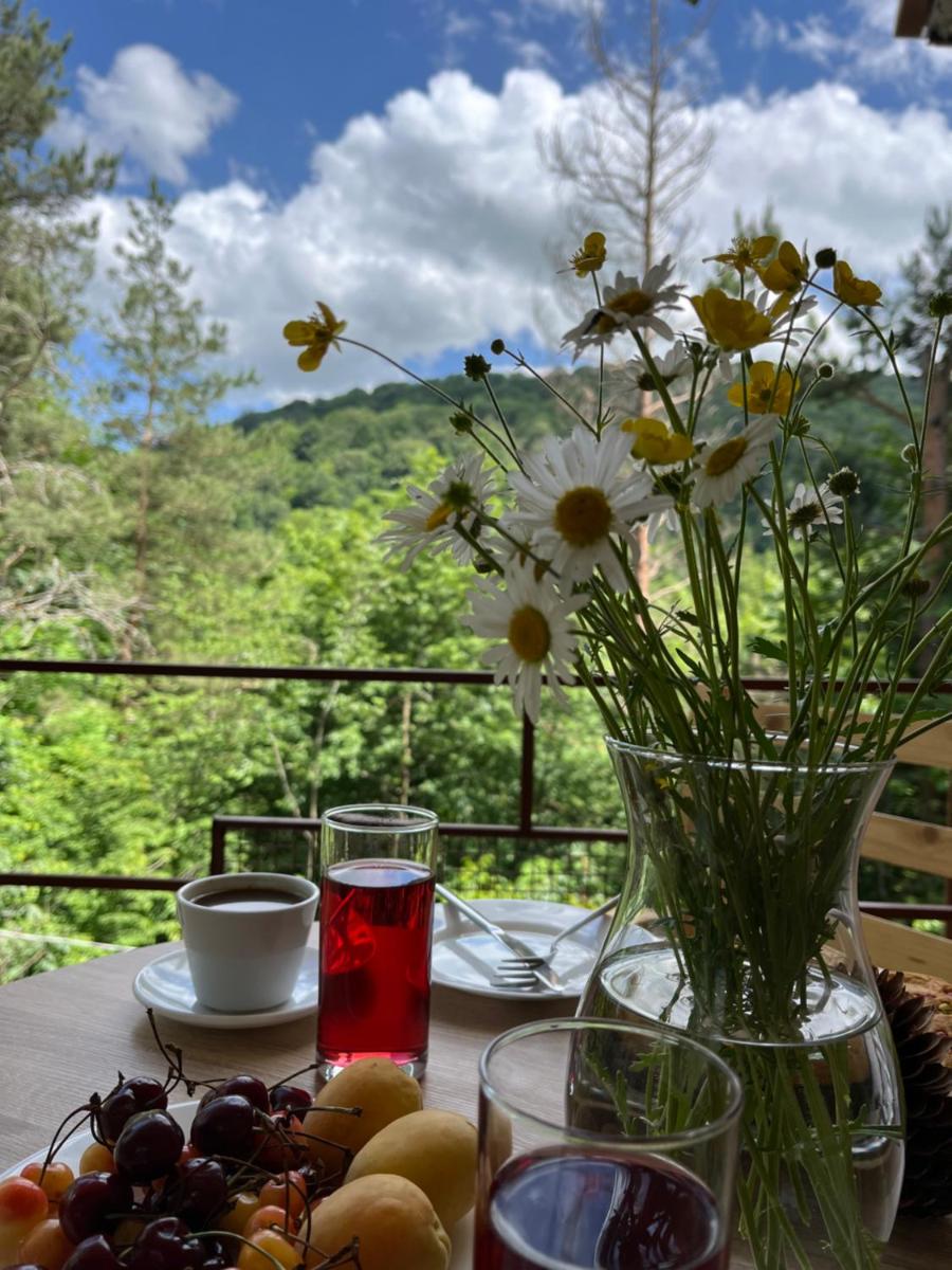 Kompozitor Hotel Dilijan - Housity