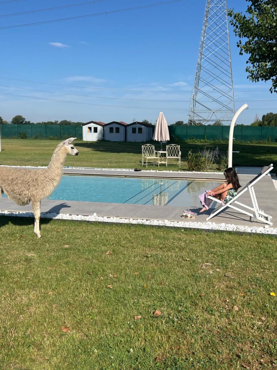Villa Iris - Housity