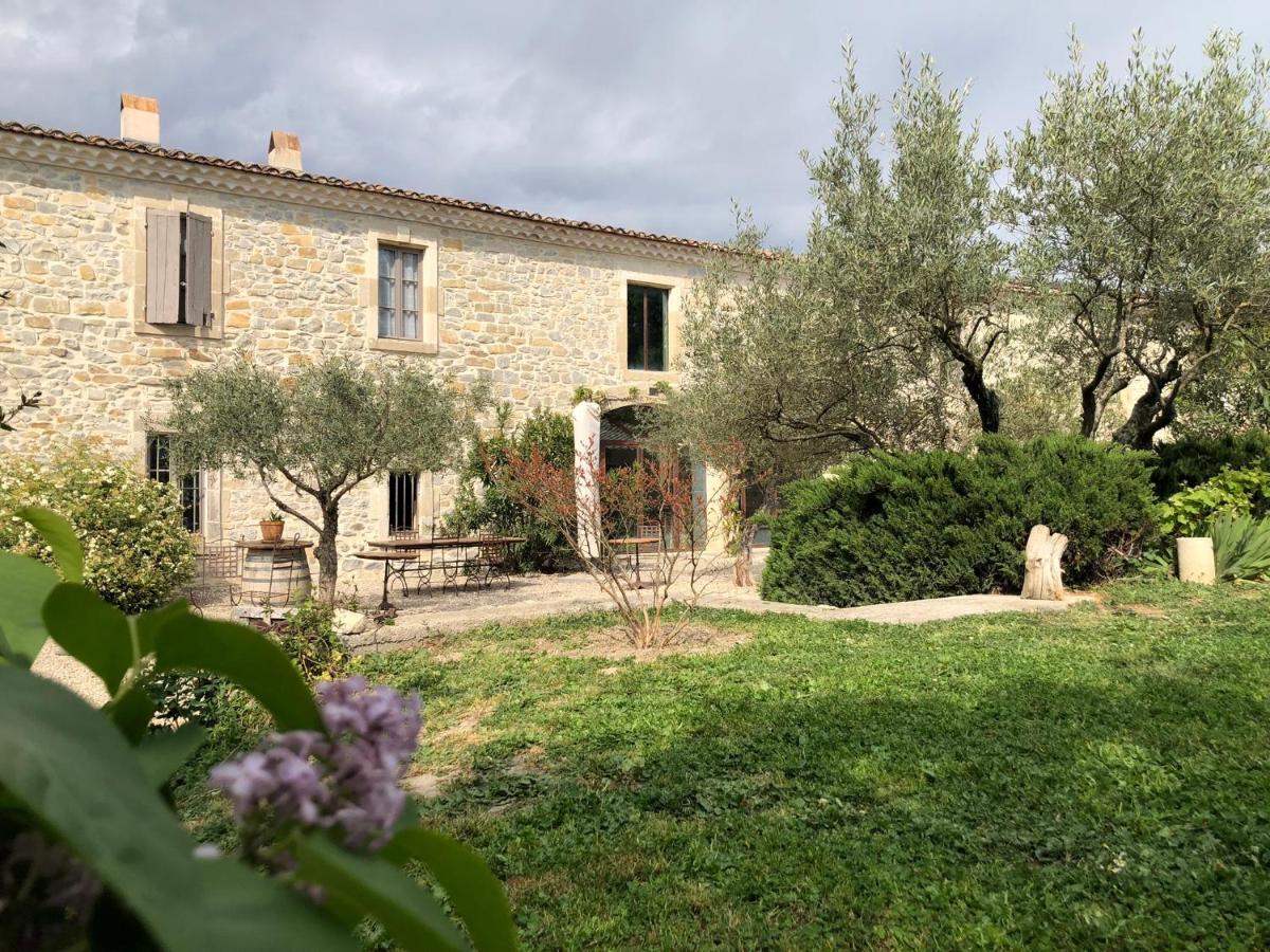 Le Coing des Vignes - Housity