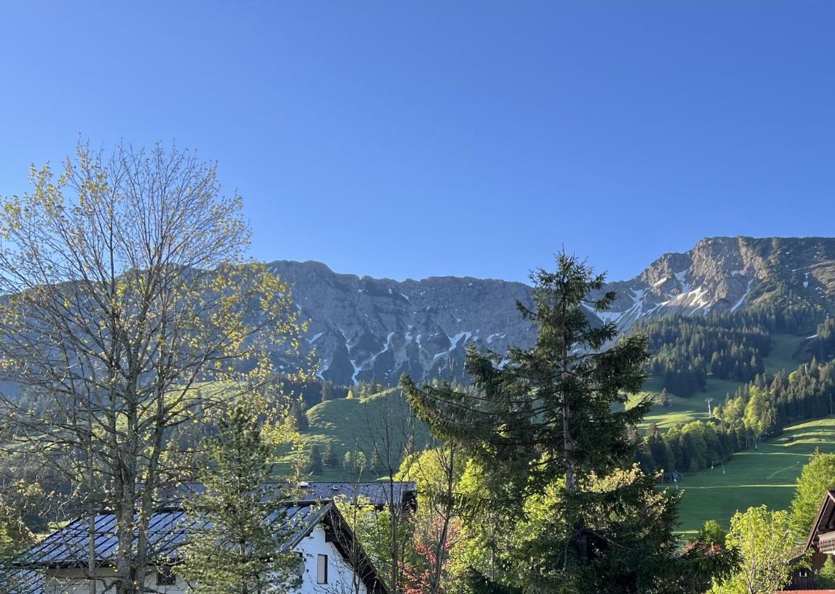 Bergnest Iseler mit Panoramablick - Housity