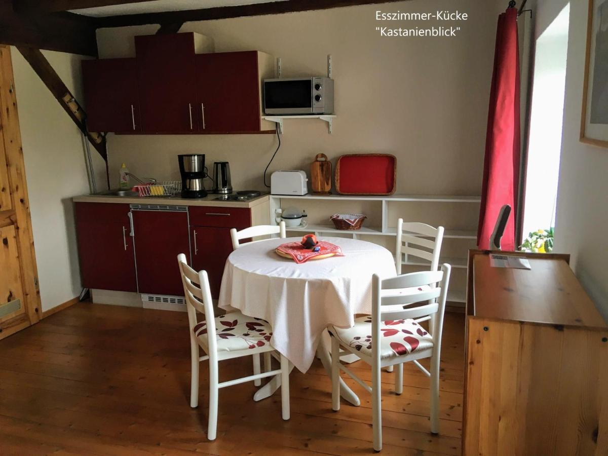 Ferienwohnung Kastanienblick oder Parkblick, oder unser Radlerzimmer! - Housity