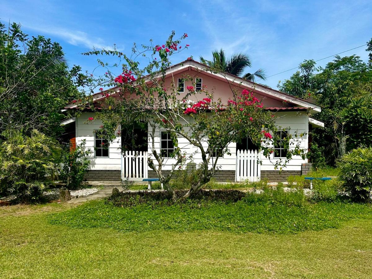 Kapal Terbang Guest House Langkawi - Housity