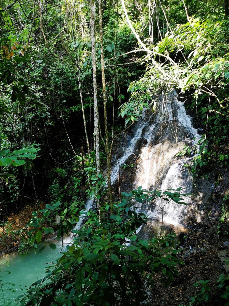 TheJungleGuide - Lodges & Restaurant - Housity