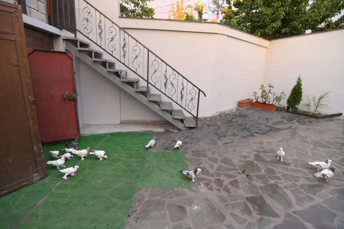 Guest House - Housity