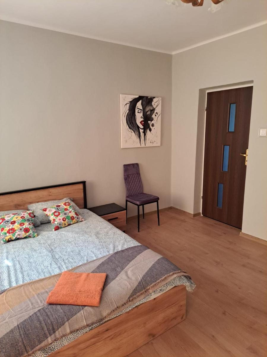 Comfortable Apartment close to Spodek - Housity