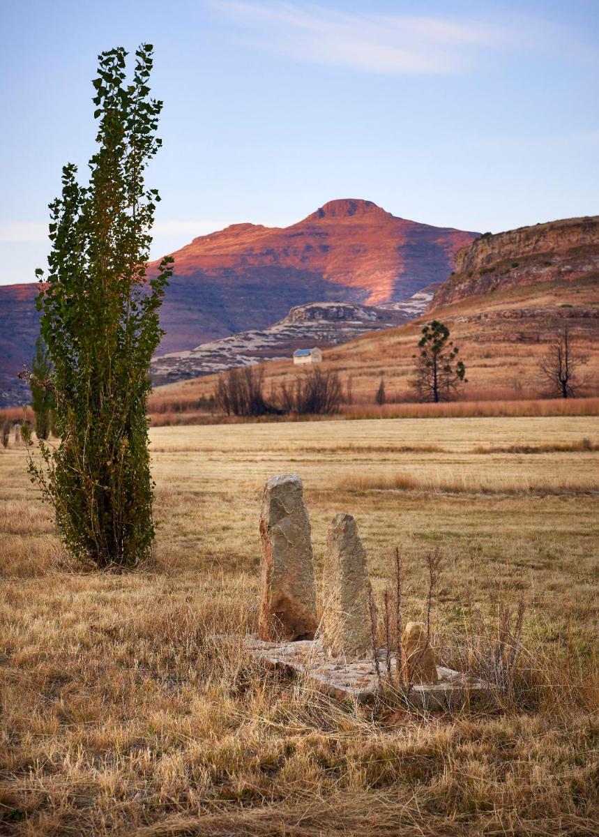 Dynasty Red Mountain Ranch - Housity