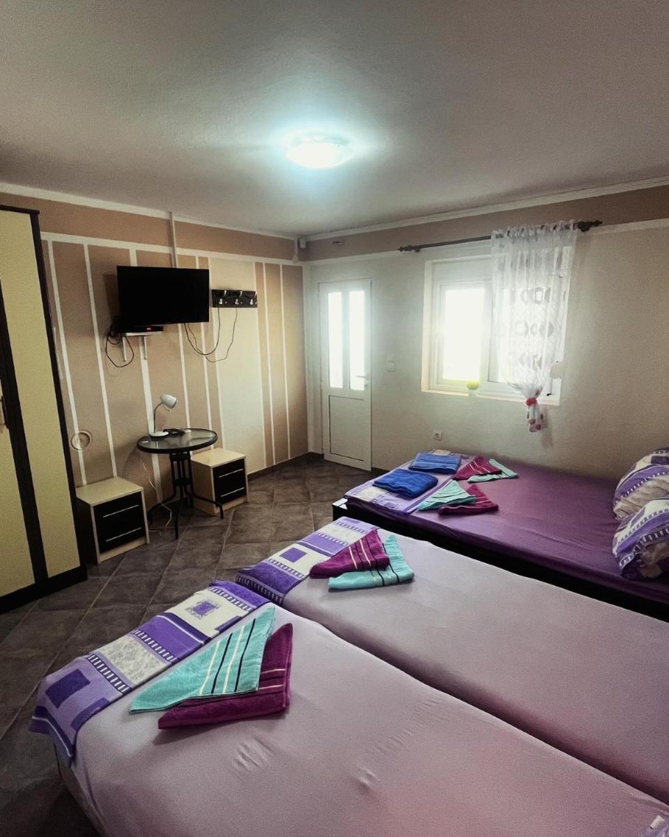Apartments in villa Viktoria - Housity
