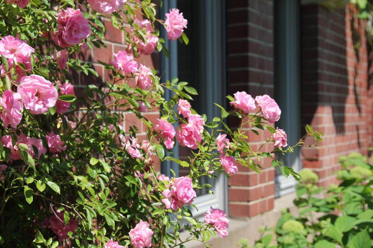 Ferienwohnung Villa Elisabeth - Housity