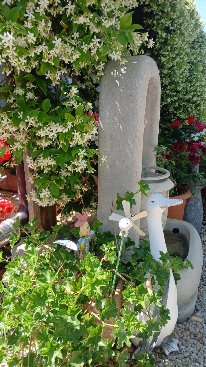 Oca Giuliva - Housity