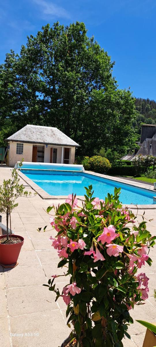 Jardin des Chats - Housity