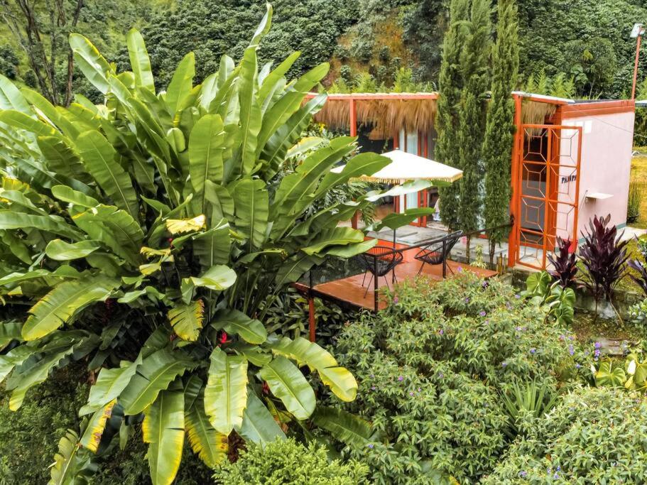 Intrepido Glamping - Housity