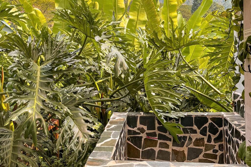 Intrepido Glamping - Housity
