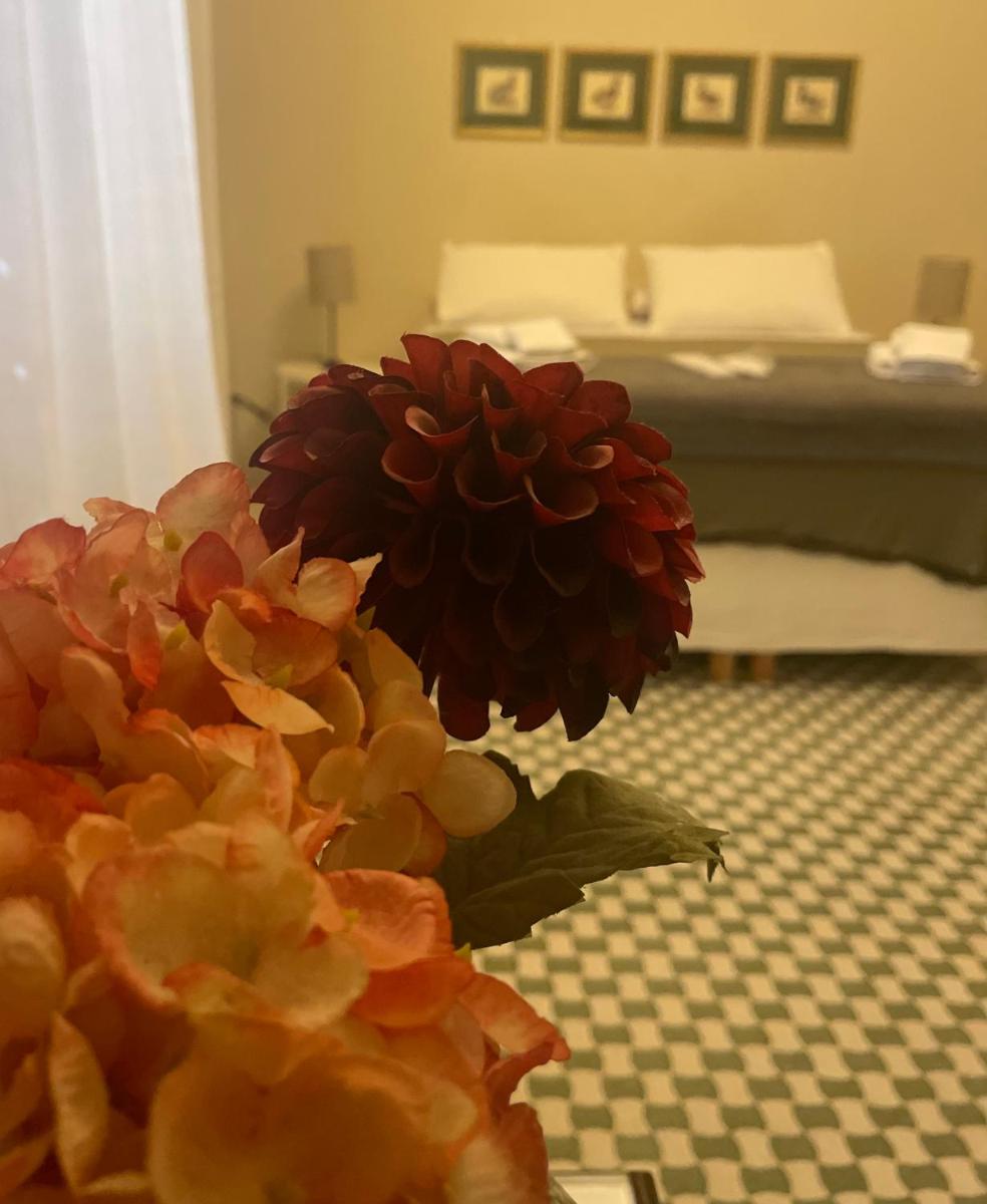 BARRIQUE GUEST HOUSE free taxi from the airport one way - Housity