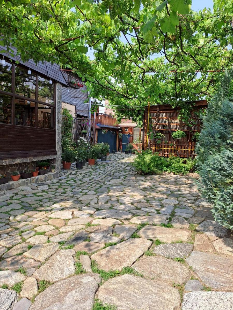 Pensiunea Sandra - Housity