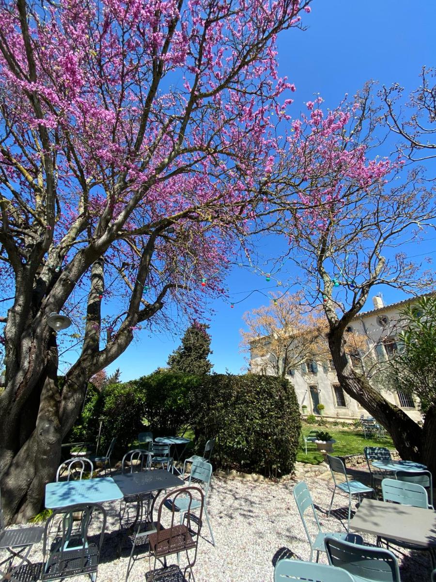 une table de pique-nique et des chaises sous un arbre avec des fleurs roses dans l'établissement Logis Hôtel Château De Palaja, à Carcassonne