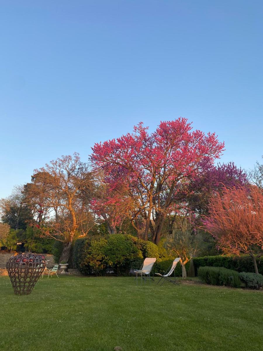 un parc avec un banc et un arbre à feuilles rouges dans l'établissement Logis Hôtel Château De Palaja, à Carcassonne