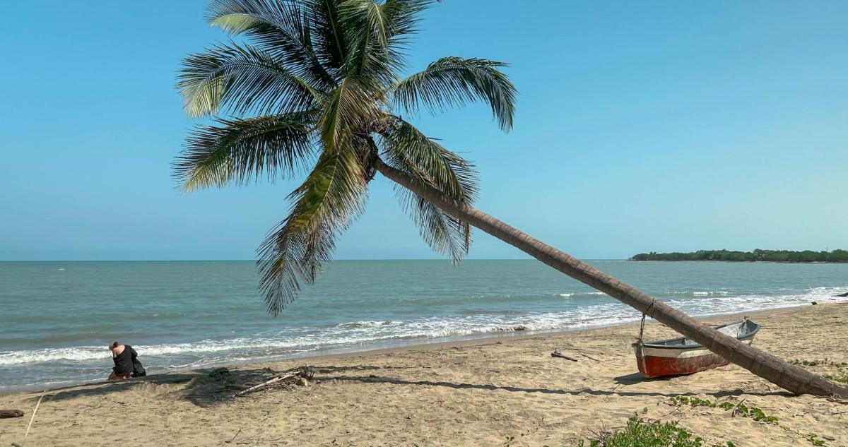 Coccoloba Beach Hostel - Housity