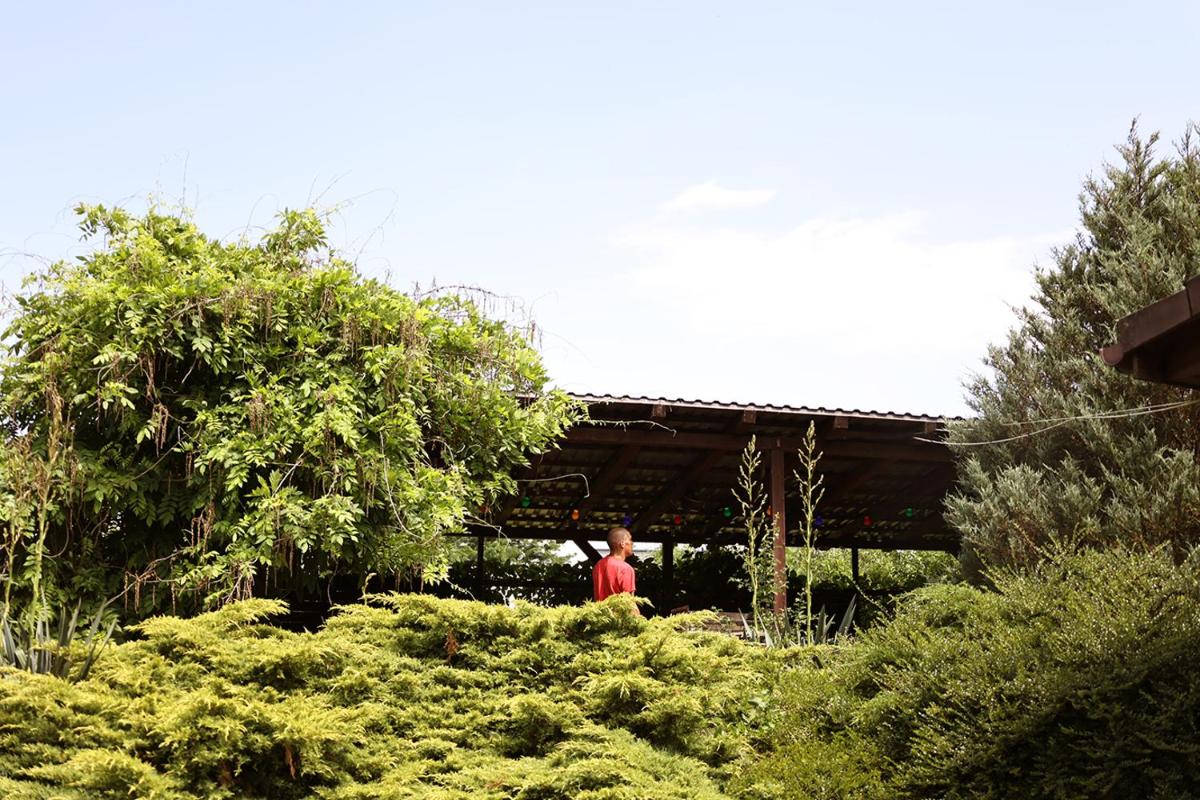 Biwak Bajlando - Housity