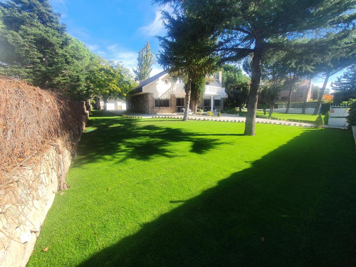 Villa Monika - Housity