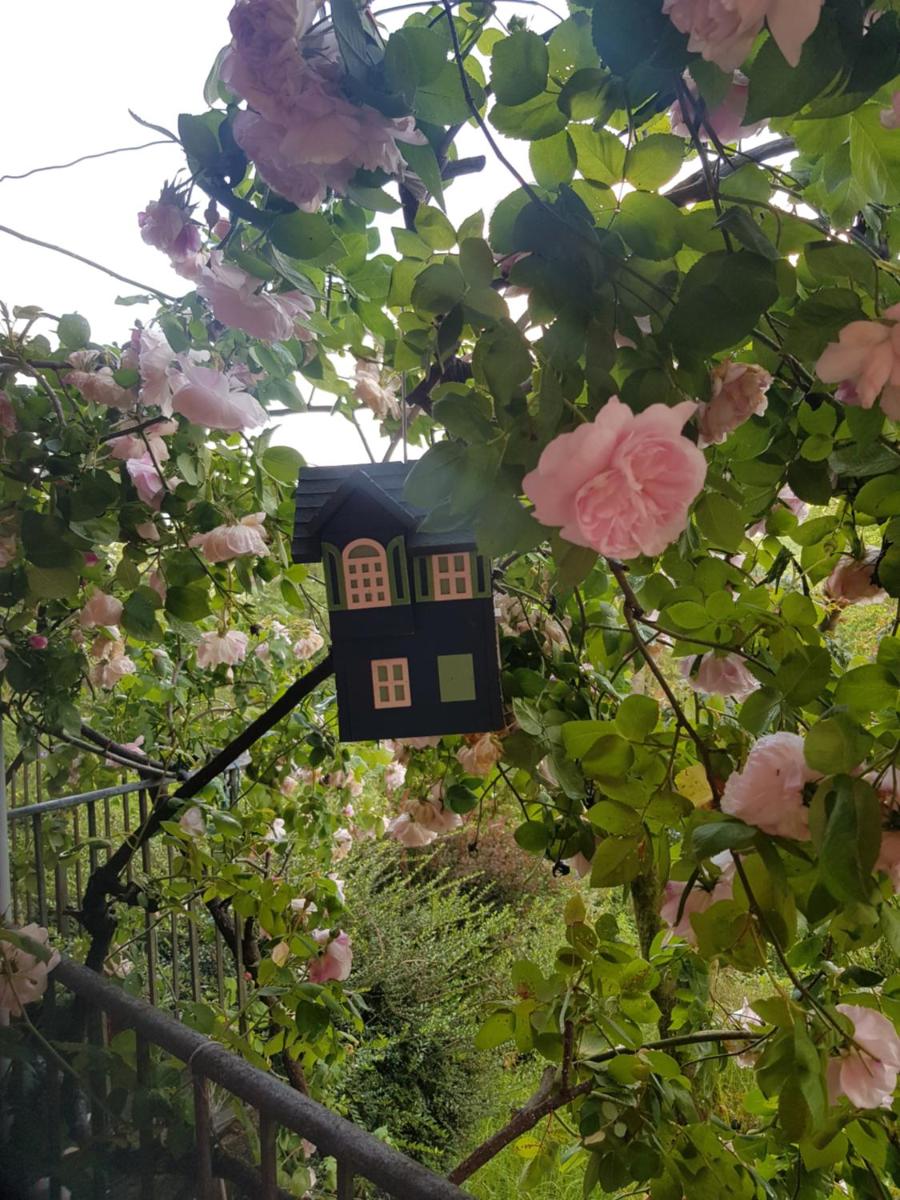Appartamento nel Verde - Housity