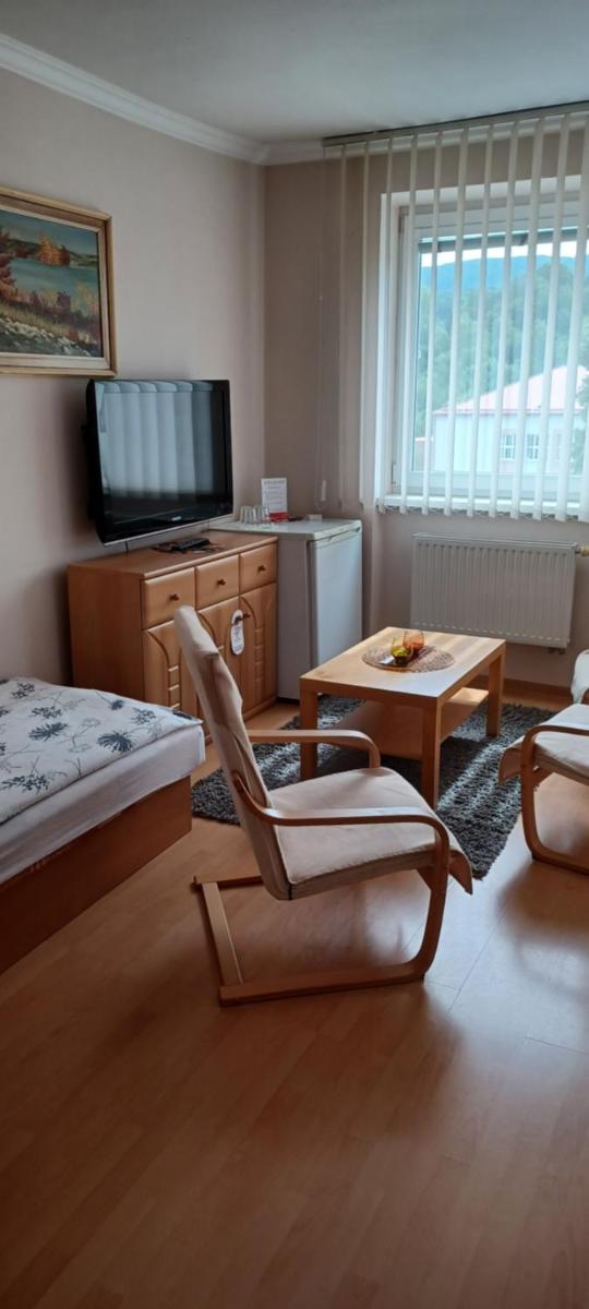Hotel Baník Handlová - Housity