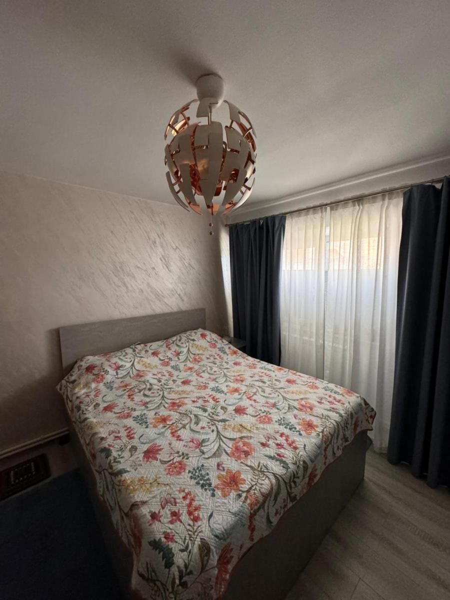 Apartament Alexe - Housity