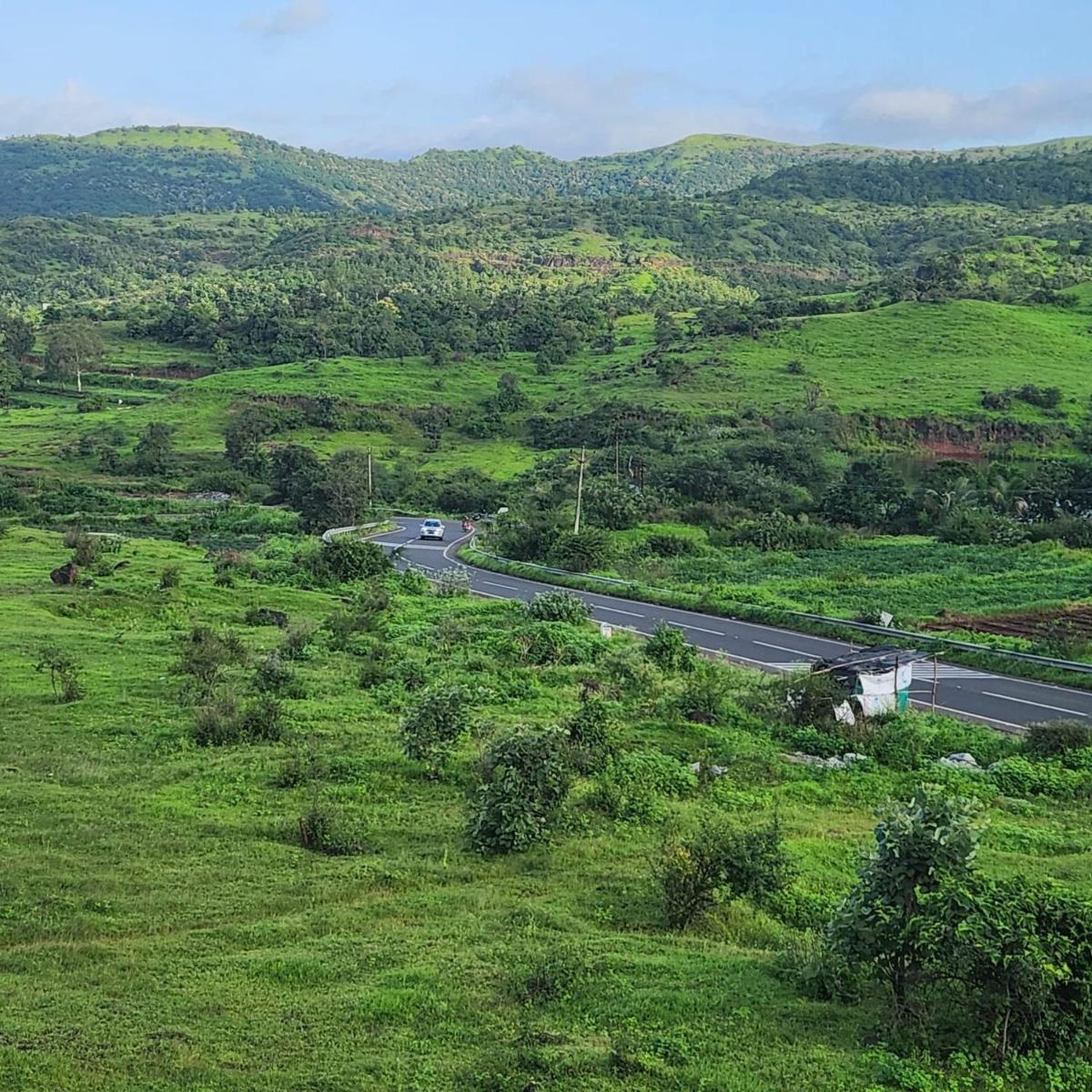 Mount View lodging & Resto - Housity