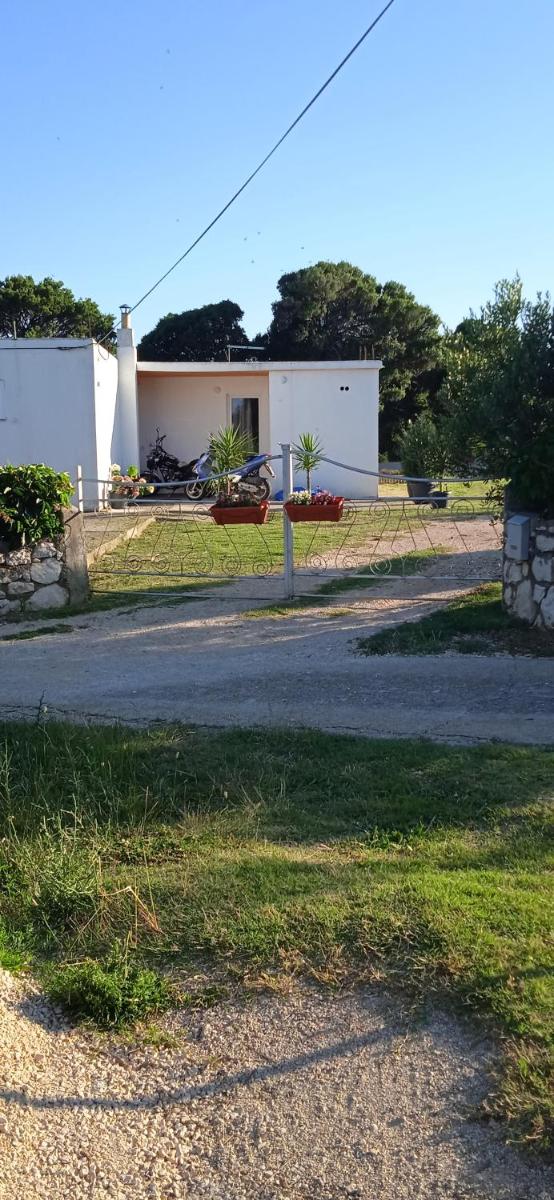 Apartment Kristofor Rab - Housity