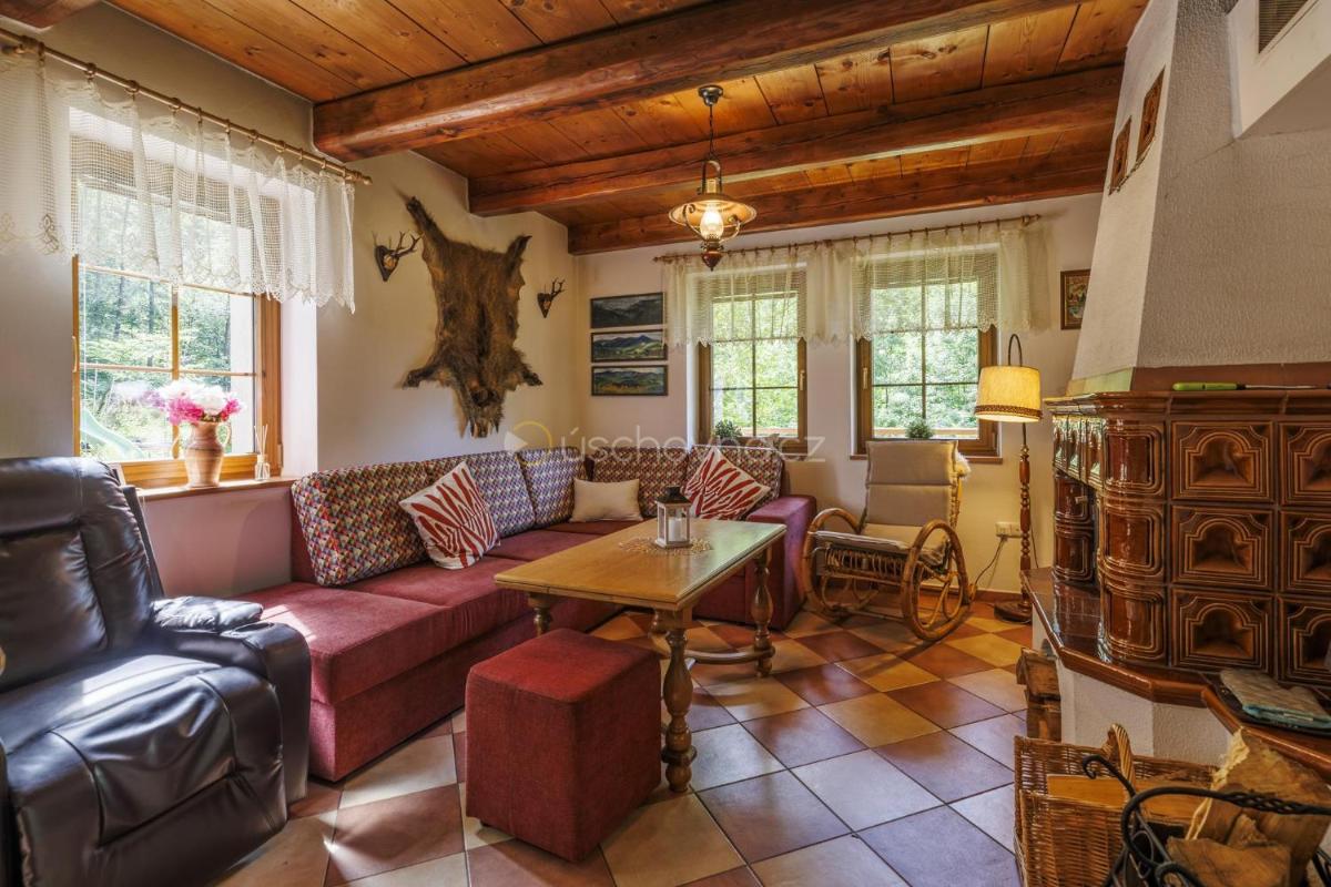 Chalet Horní Orlice - Housity