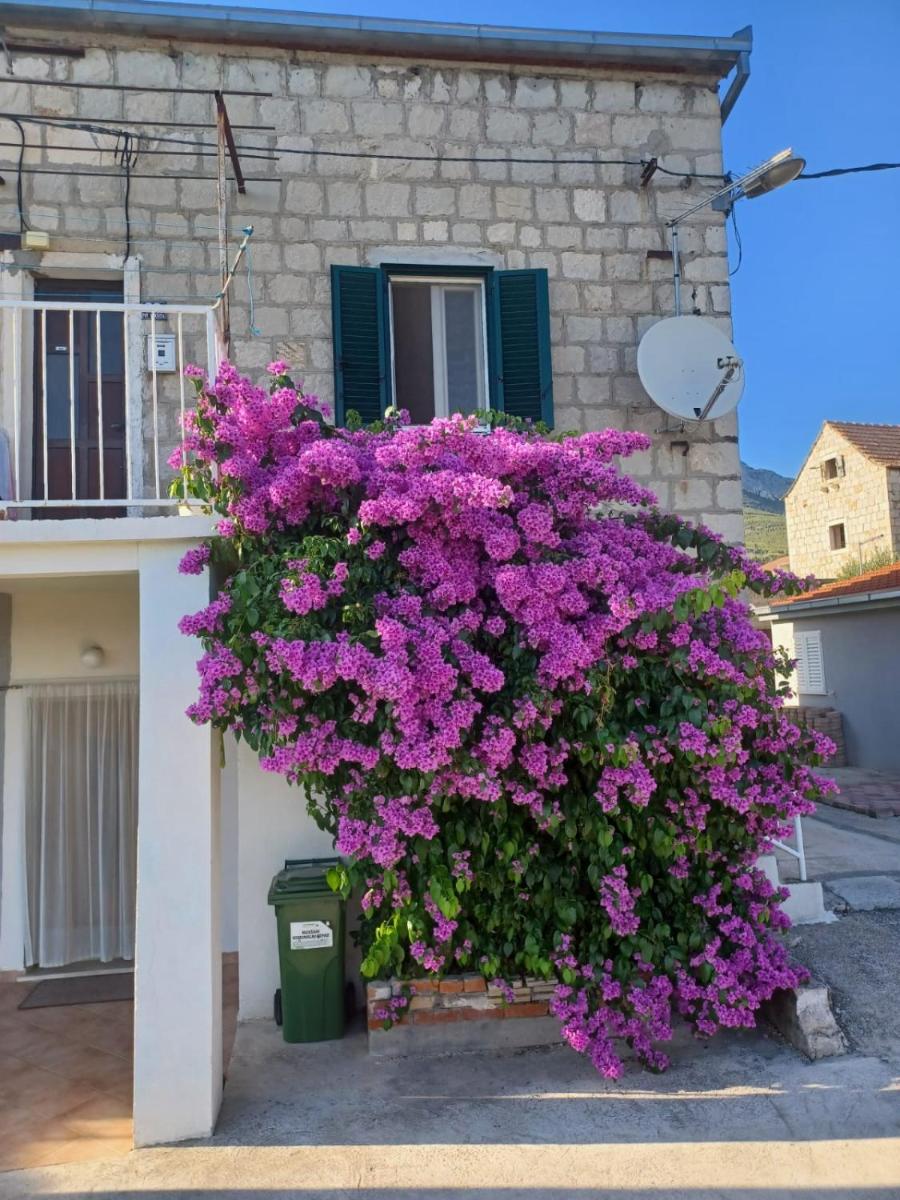 Stone Guest House - Housity