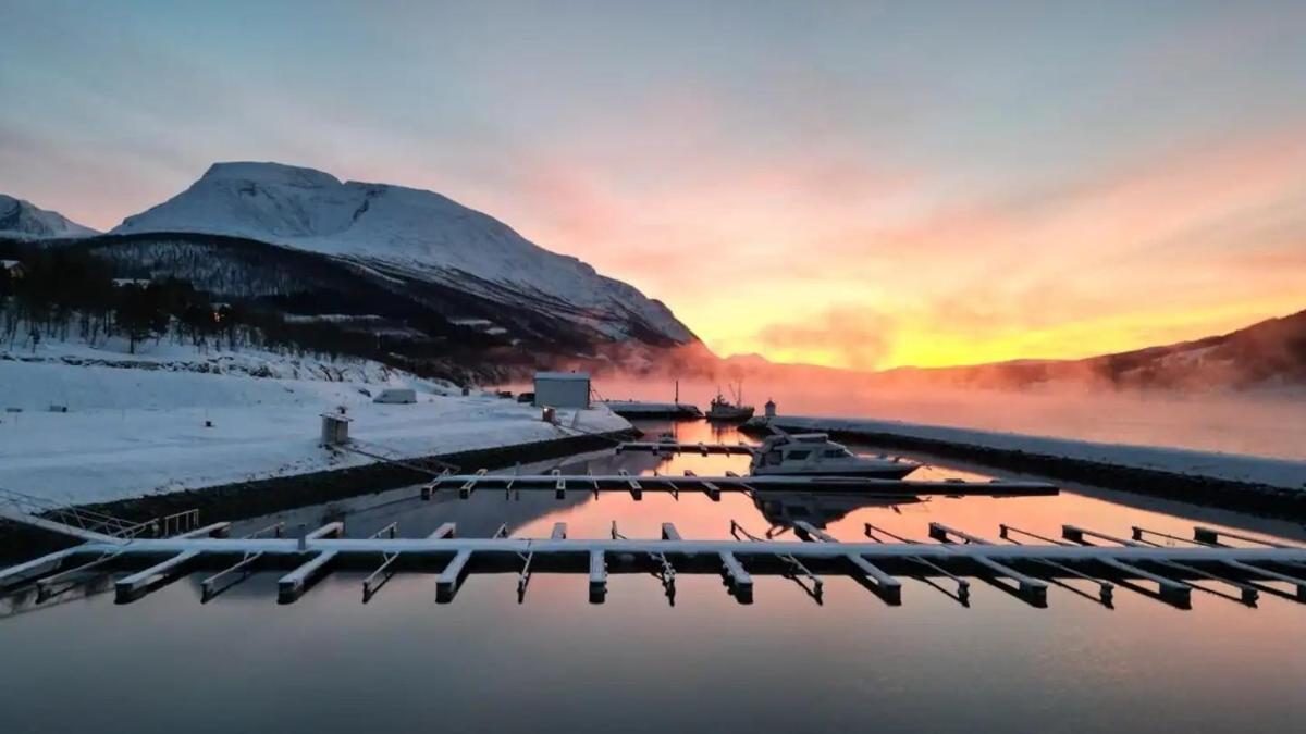Arctic Sea lodge - cabin with panoramic view in Balsfjord - Housity