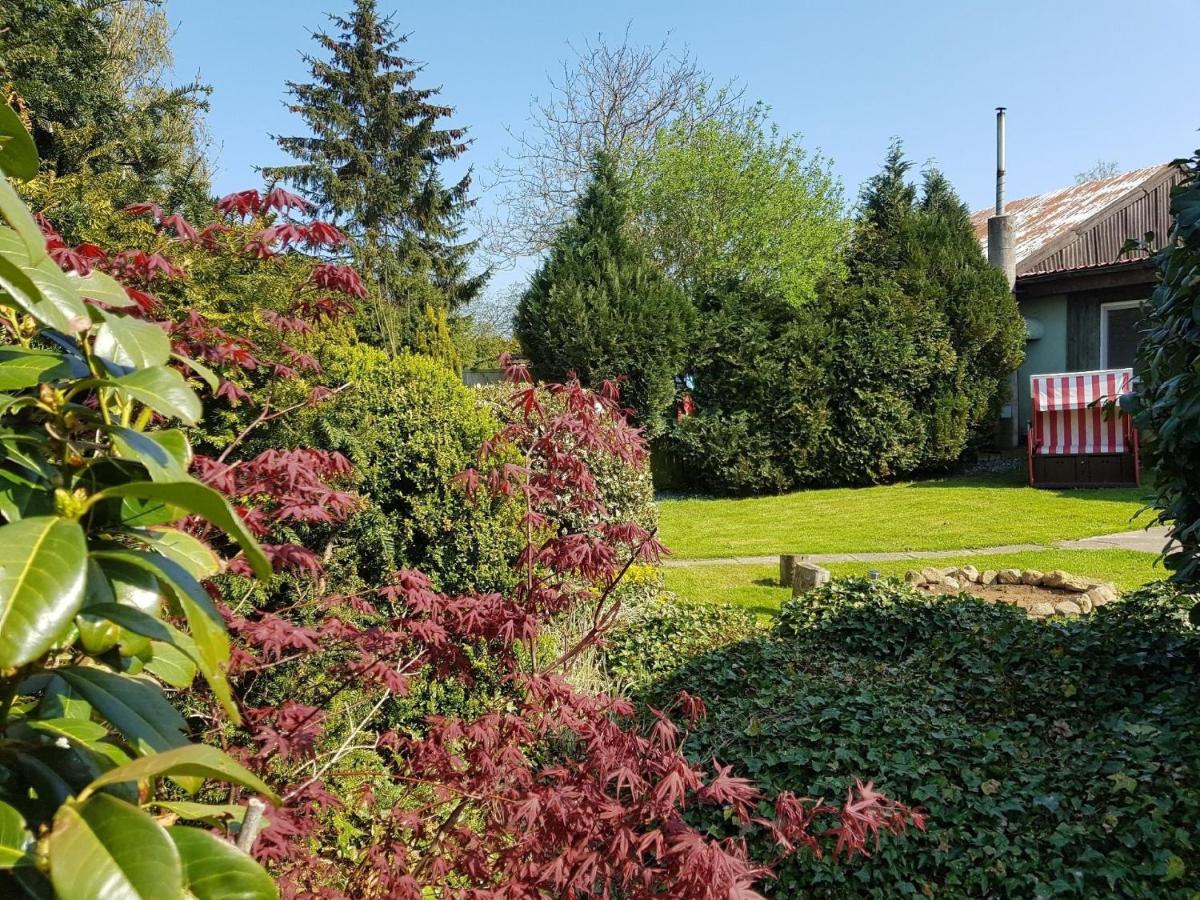Wunderschönes Ferienhaus in Groß Schoritz mit Garten, Grill und Terrasse - Housity