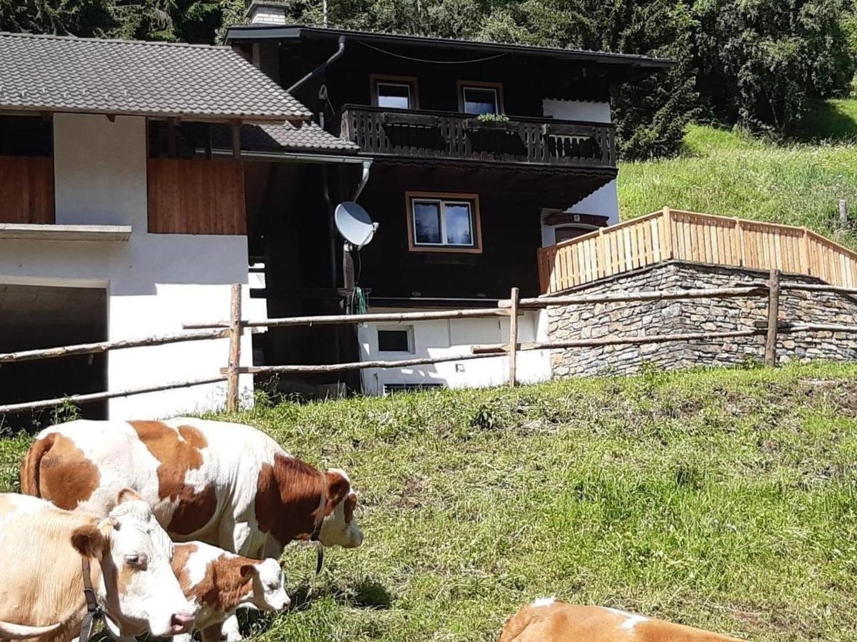 Ferienhaus Teichhaus in Grades - Housity
