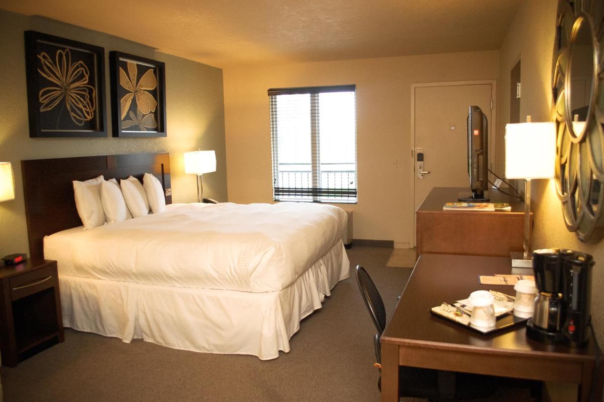 Unique Suites Hotel - Housity