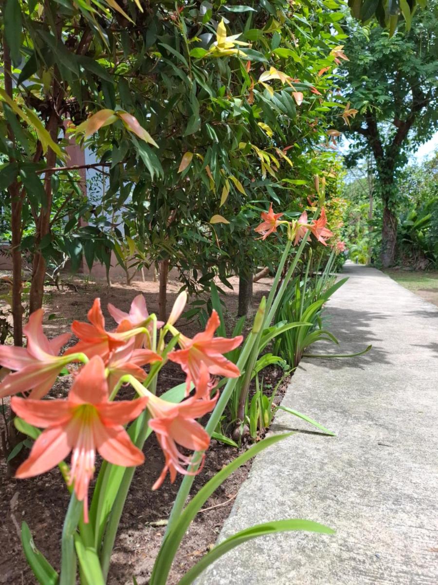 Bang Po Garden - Housity