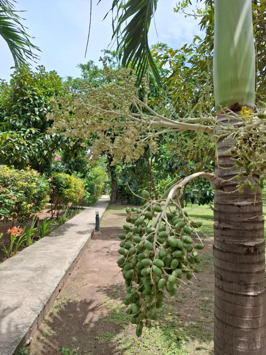 Bang Po Garden - Housity