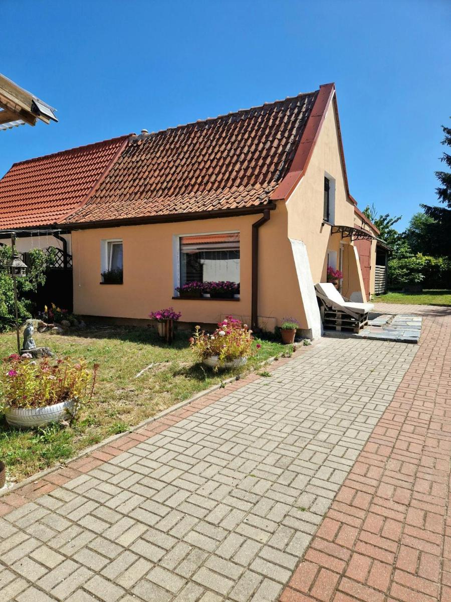 Domek Pattie - Housity