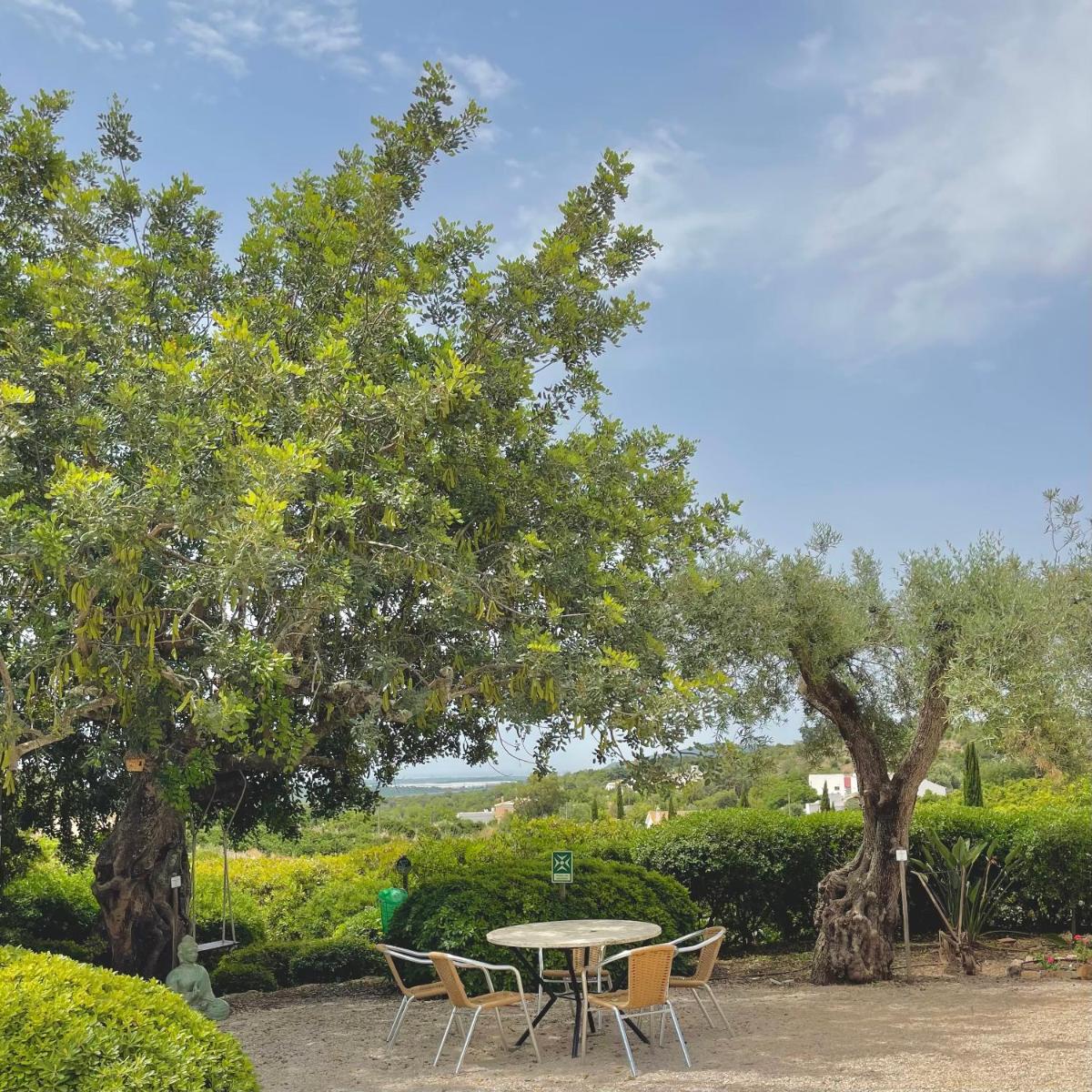 Um jardim no exterior de Hotel Rural Quinta do Marco - Nature & Dining